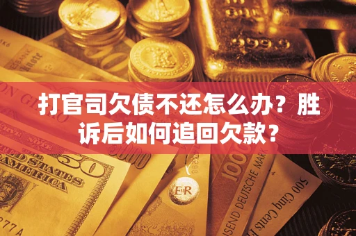 北京打官司欠债不还怎么办？胜诉后如何追回欠款？