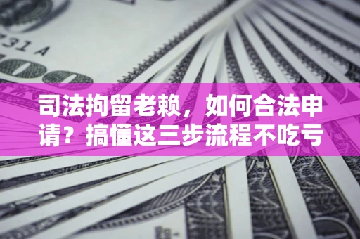 北京司法拘留老赖，如何合法申请？搞懂这三步流程不吃亏！