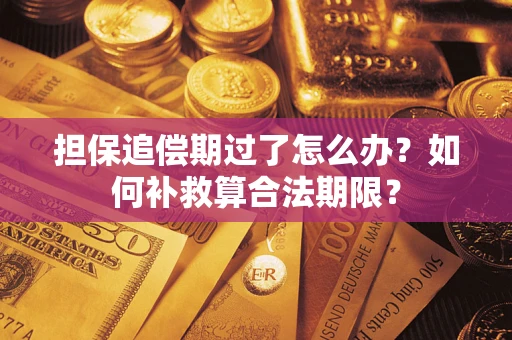 北京担保追偿期过了怎么办？如何补救算合法期限？