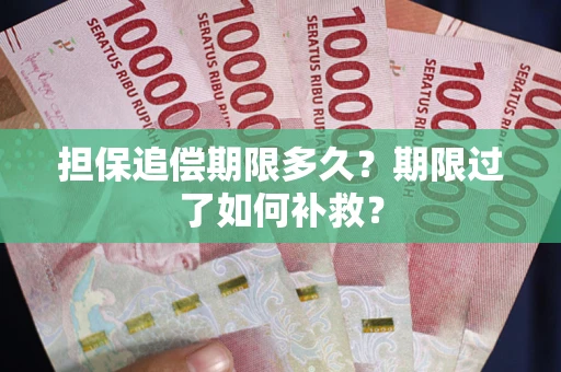 北京担保追偿期限多久？期限过了如何补救？